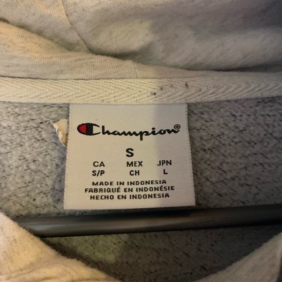 Champion Hoodie (Grey) - Picture 2 of 2